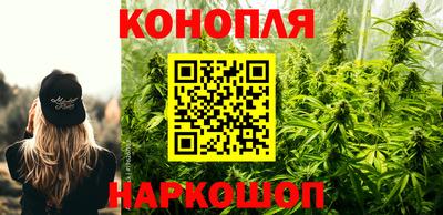 крисы Балашиха