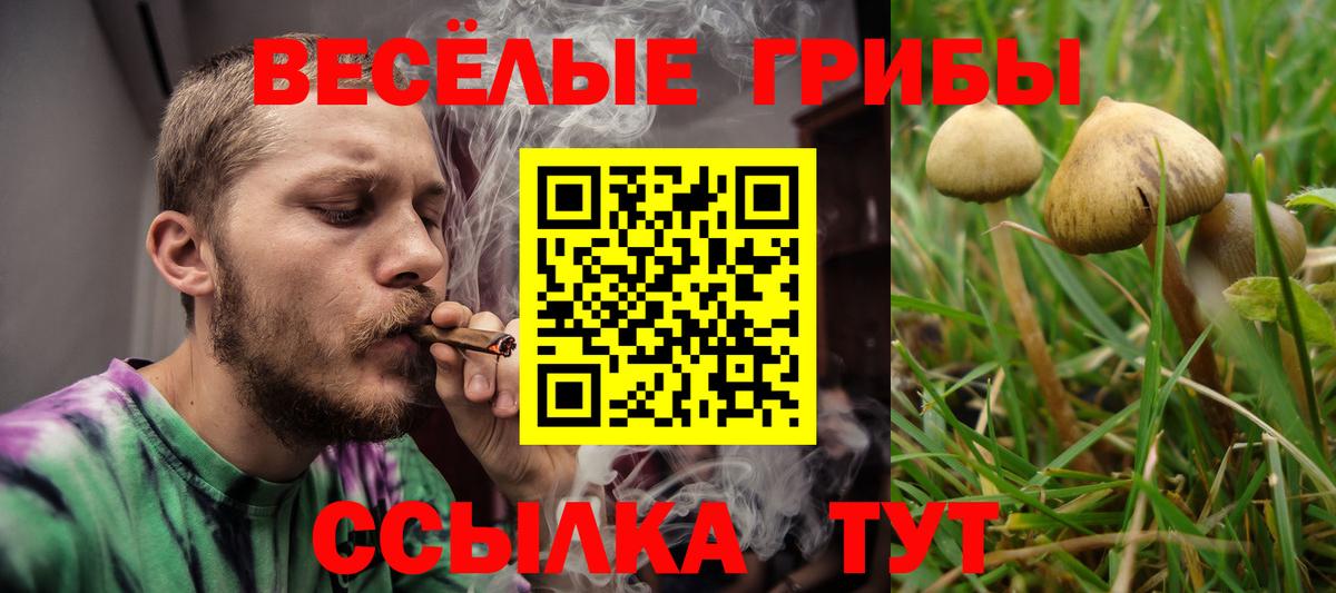 Галлюциногенные грибы Psilocybe  Верхняя Салда 