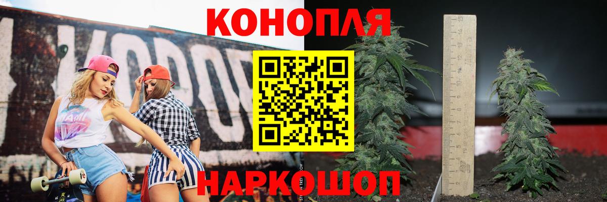 Бошки Шишки планчик  Верхняя Салда  Марихуана план  Канабис LSD WEED 